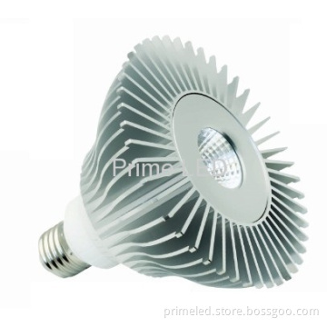 15w Par38 Led Lamp, Sharp Led 